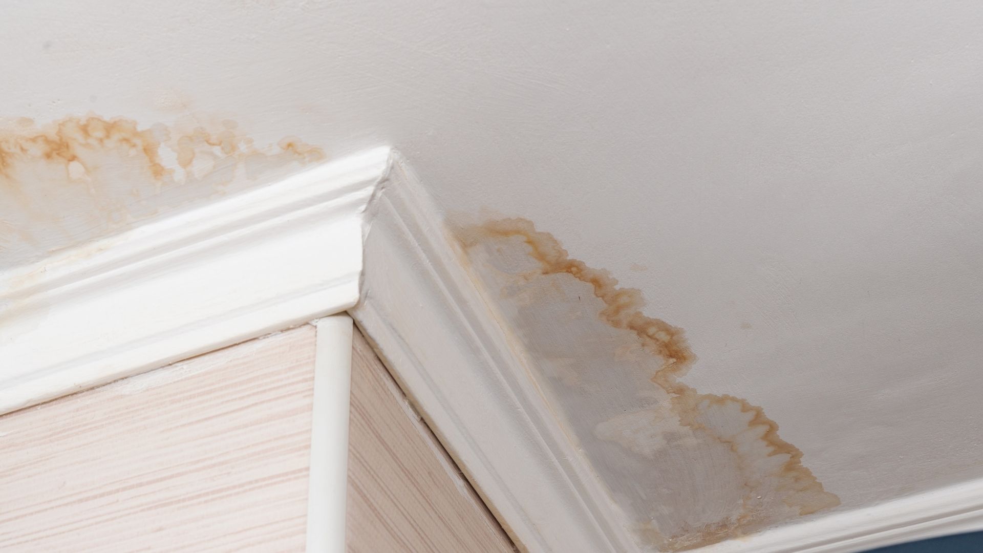 Prevent water damage with leak detection. Learn the key steps for water damage prevention with Major League Plumbing.